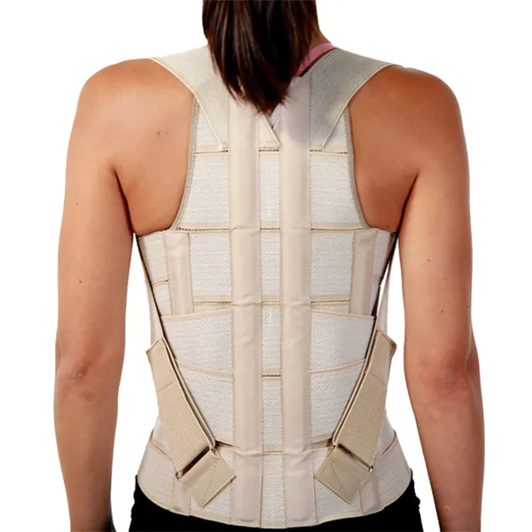 Fajaespadillera Dorso-Lumbar